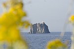 4_DSC5303   r 